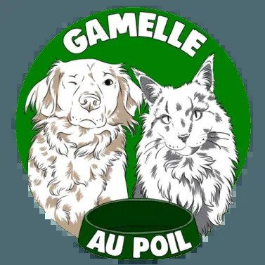 Gamelle au Poil, nutrition canine en visio pour Aix-en-Provence