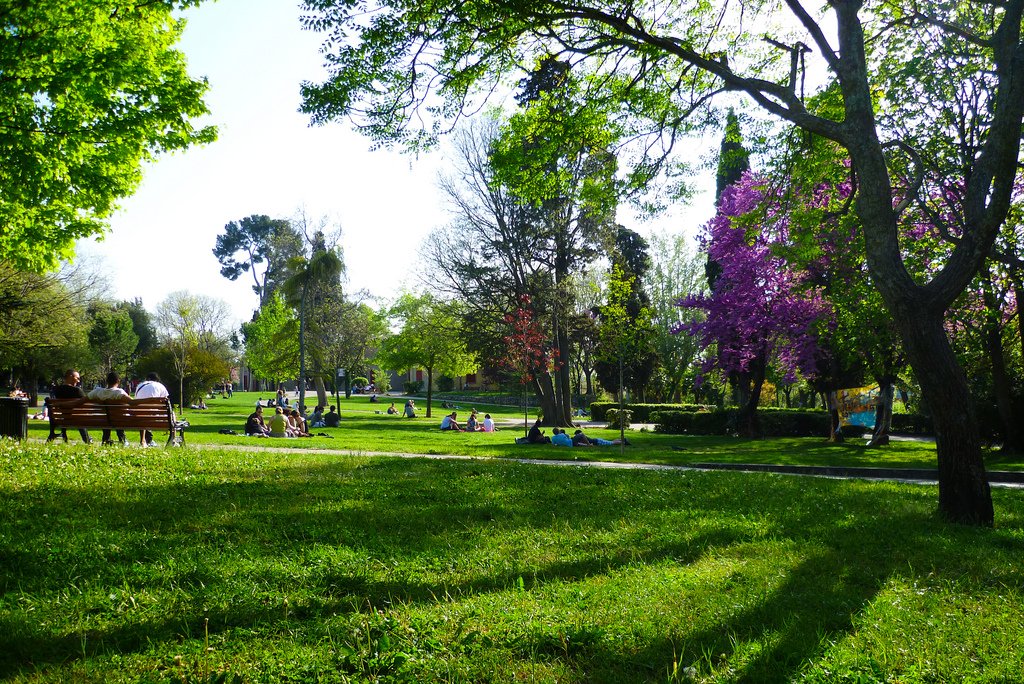Parc Jourdan à Aix-en-Provence, allée de tilleuls et pelouses