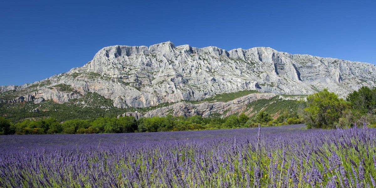 Sentier de la Sainte-Victoire près d’Aix-en-Provence, randonnée avec un chien