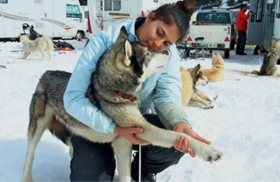 Claire Charpentier, ostéopathe animale à Venelles