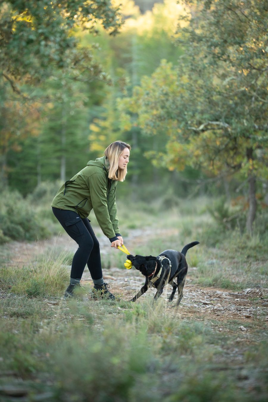 Marine motive un chien avec un jouet lors d'une séance d'éducation positive à Peyrolles-en-Provence