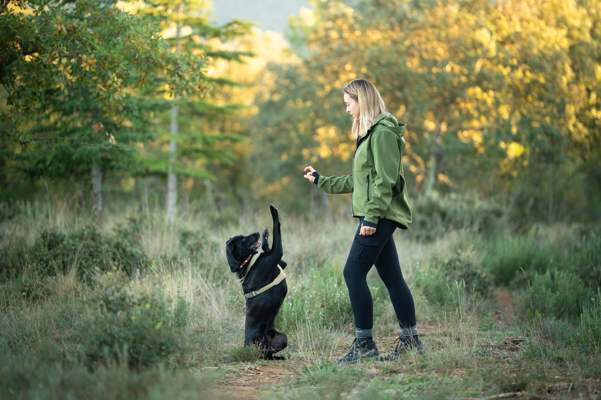 Marine Goovaerts en séance d'éducation canine devant la montagne Sainte-Victoire, près d'Aix-en-Provence