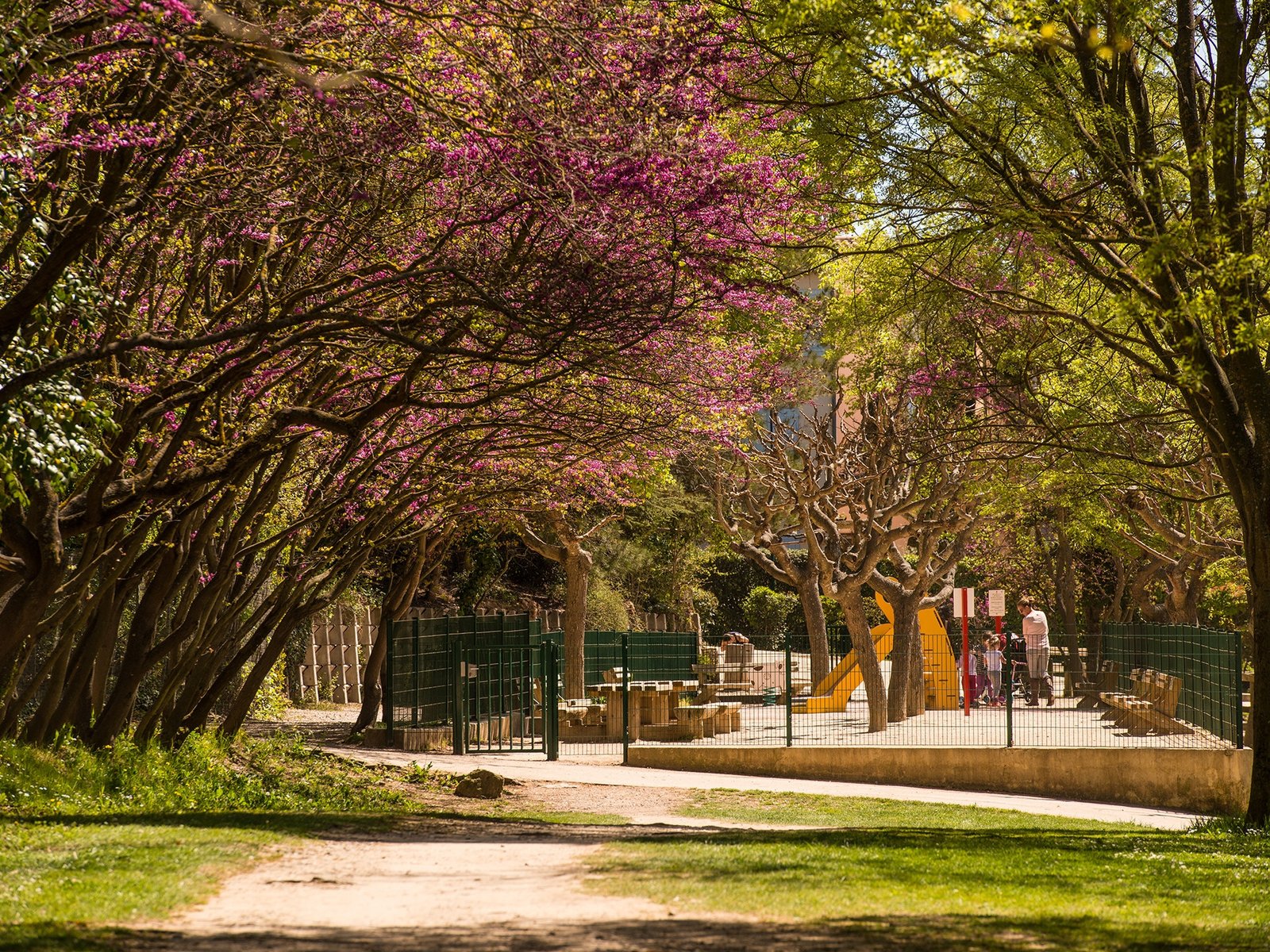 Promenade de la Torse à Aix-en-Provence, sentier ombragé le long de la rivière