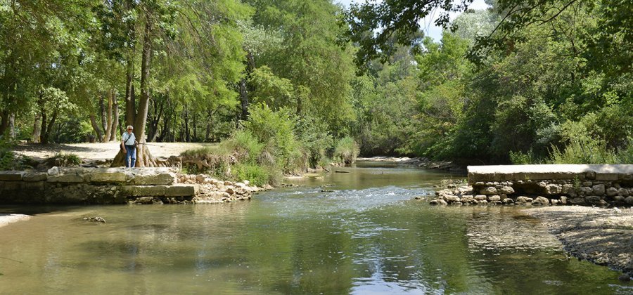 Promenade de l’Arc à Aix-en-Provence, berges ombragées le long de la rivière