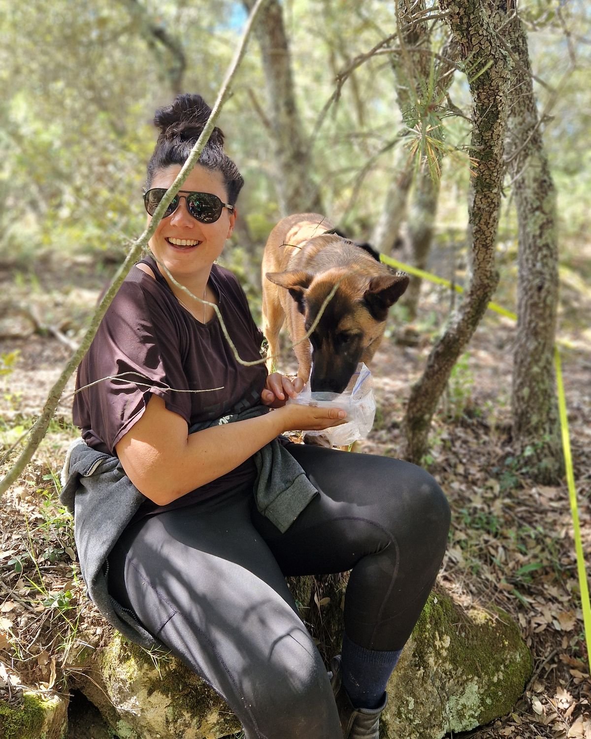 Présentation de l'objet d'odeur à un chien au départ d'une piste de mantrailing, secteur de Jouques