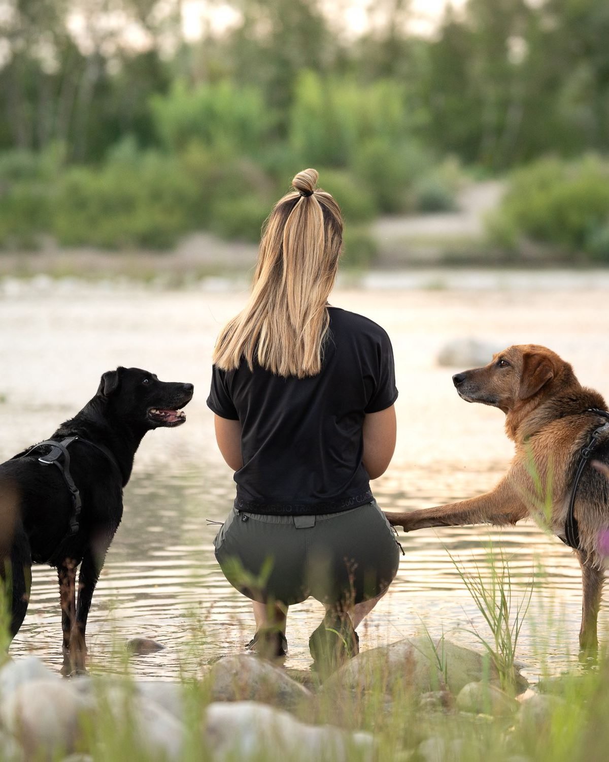 Sortie nature encadrée avec deux chiens lors d'une balade collective autour de Venelles