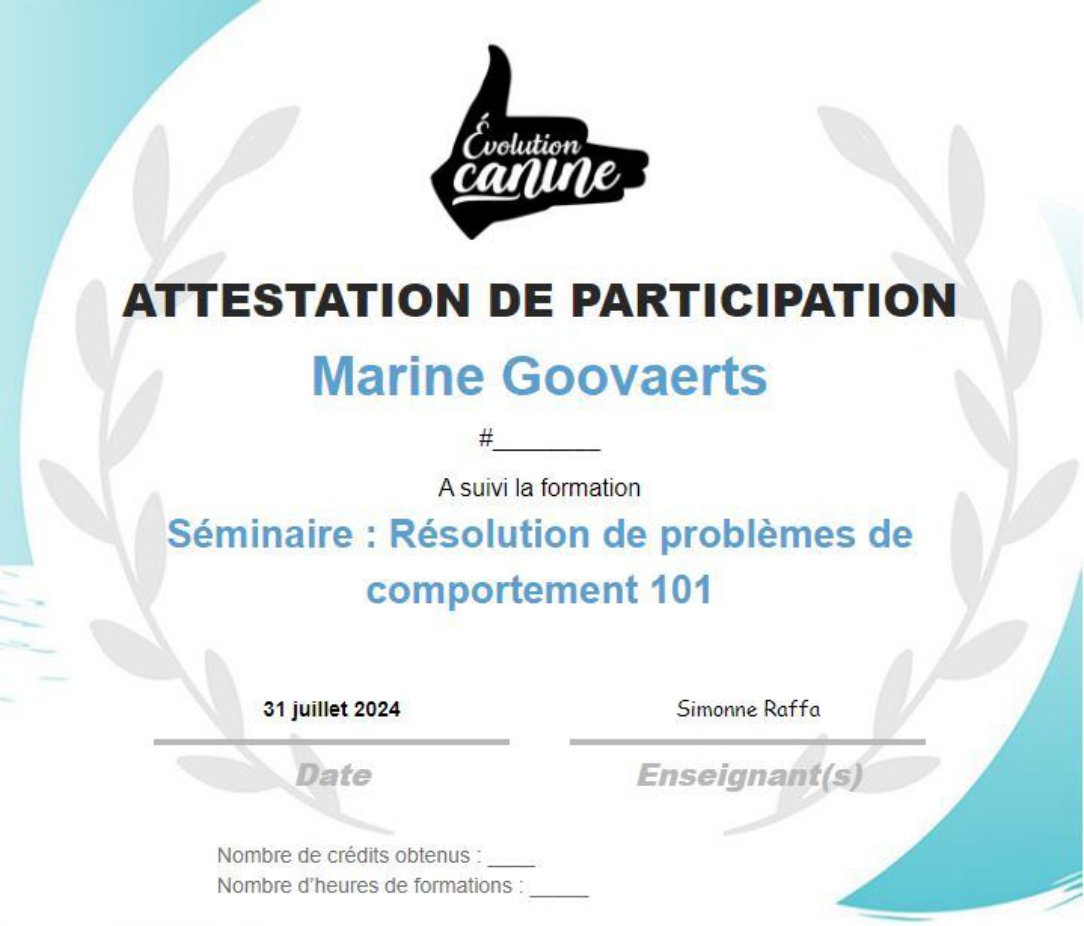 Résolution de problèmes de comportement, attestation de Marine Goovaerts