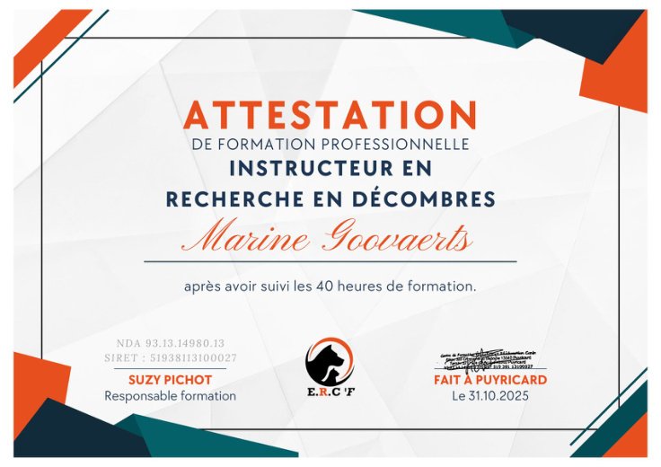 Instructrice recherche en décombres, attestation de Marine Goovaerts